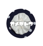 ヨーヨーキルトスタンプ（個別スタンプ：1）