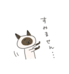 ムリねこ（個別スタンプ：17）