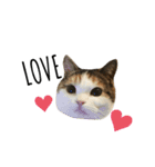 co♡co（個別スタンプ：1）