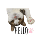 co♡co（個別スタンプ：6）