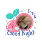 I'mMoco（個別スタンプ：1）