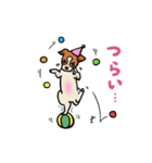 クッキーの日常スタンプ 2（個別スタンプ：25）