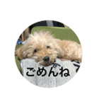 コーラーチェー（個別スタンプ：3）