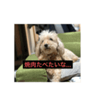コーラーチェー（個別スタンプ：4）
