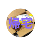 コーラーチェー（個別スタンプ：11）