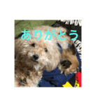 コーラーチェー（個別スタンプ：16）