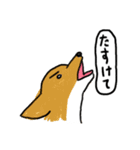 トーキング動物 (犬）（個別スタンプ：1）