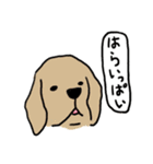 トーキング動物 (犬）（個別スタンプ：26）