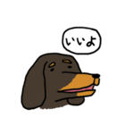 トーキング動物 (犬）（個別スタンプ：31）