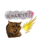 ねこカフェなるスタンプvol.1（個別スタンプ：1）