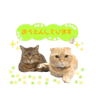 ねこカフェなるスタンプvol.1（個別スタンプ：13）