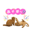 ねこカフェなるスタンプvol.1（個別スタンプ：14）