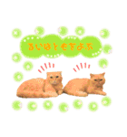 ねこカフェなるスタンプvol.1（個別スタンプ：15）