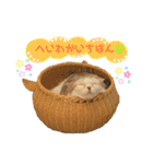 ねこカフェなるスタンプvol.1（個別スタンプ：22）