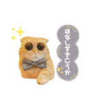 ねこカフェなるスタンプvol.1（個別スタンプ：23）