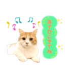 ねこカフェなるスタンプvol.1（個別スタンプ：28）