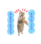 ねこカフェなるスタンプvol.1（個別スタンプ：32）