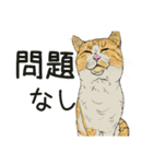 保護猫 家猫 いやしスタンプ（個別スタンプ：1）