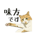 保護猫 家猫 いやしスタンプ（個別スタンプ：6）