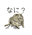 保護猫 家猫 いやしスタンプ（個別スタンプ：8）
