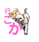 cocomero（個別スタンプ：1）