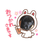 Coharu Stanp（個別スタンプ：4）