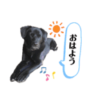 Coharu Stanp（個別スタンプ：11）