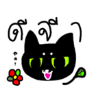 タイ語を話す猫（日本語併記）（個別スタンプ：5）