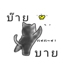 タイ語を話す猫（日本語併記）（個別スタンプ：8）