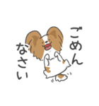 犬語ずかん【パピヨン秋編】（個別スタンプ：11）