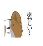 犬語ずかん【パピヨン秋編】（個別スタンプ：13）
