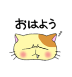 ねこのにゃーさんスタンプ【日常】（個別スタンプ：1）