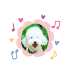 Cute Dog Potpourri（個別スタンプ：1）