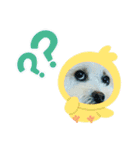 Cute Dog Potpourri（個別スタンプ：2）