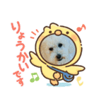 Cute Dog Potpourri（個別スタンプ：3）