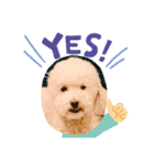 Cute Dog Potpourri（個別スタンプ：15）
