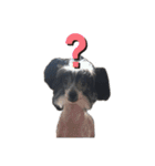 ゴトウ家の犬たちPart2（個別スタンプ：10）
