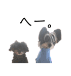 ゴトウ家の犬たちPart2（個別スタンプ：27）
