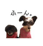 ゴトウ家の犬たちPart2（個別スタンプ：28）