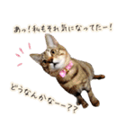 ねころぶNo.1（個別スタンプ：2）