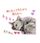 ねころぶNo.1（個別スタンプ：3）