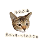 ねころぶNo.1（個別スタンプ：4）