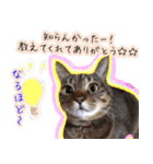 ねころぶNo.1（個別スタンプ：5）
