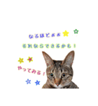 ねころぶNo.1（個別スタンプ：7）