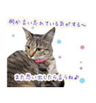 ねころぶNo.1（個別スタンプ：8）