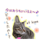 ねころぶNo.1（個別スタンプ：10）