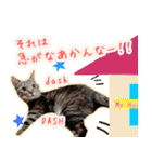 ねころぶNo.1（個別スタンプ：11）