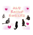 ねころぶNo.1（個別スタンプ：13）