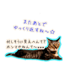 ねころぶNo.1（個別スタンプ：14）