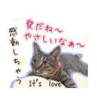 ねころぶNo.1（個別スタンプ：16）
